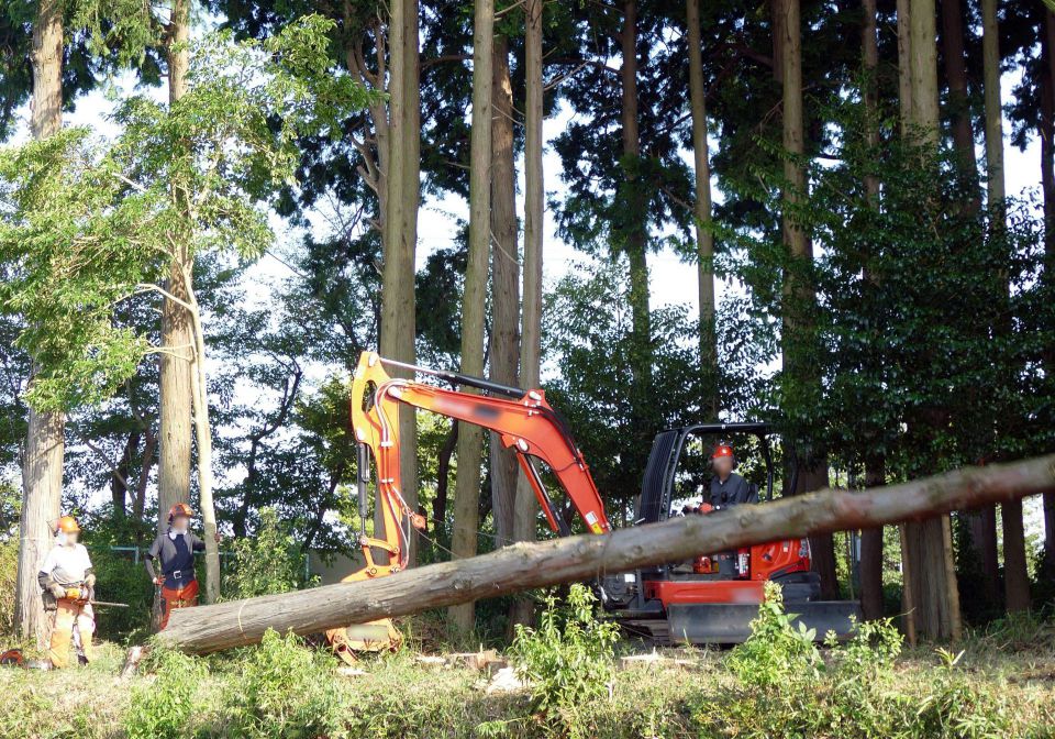 建物解体の裏側に潜む知られざる歴史と未来への挑戦